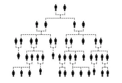 Ancestry app screenshots shown across several phones